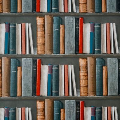 image of books on shelf