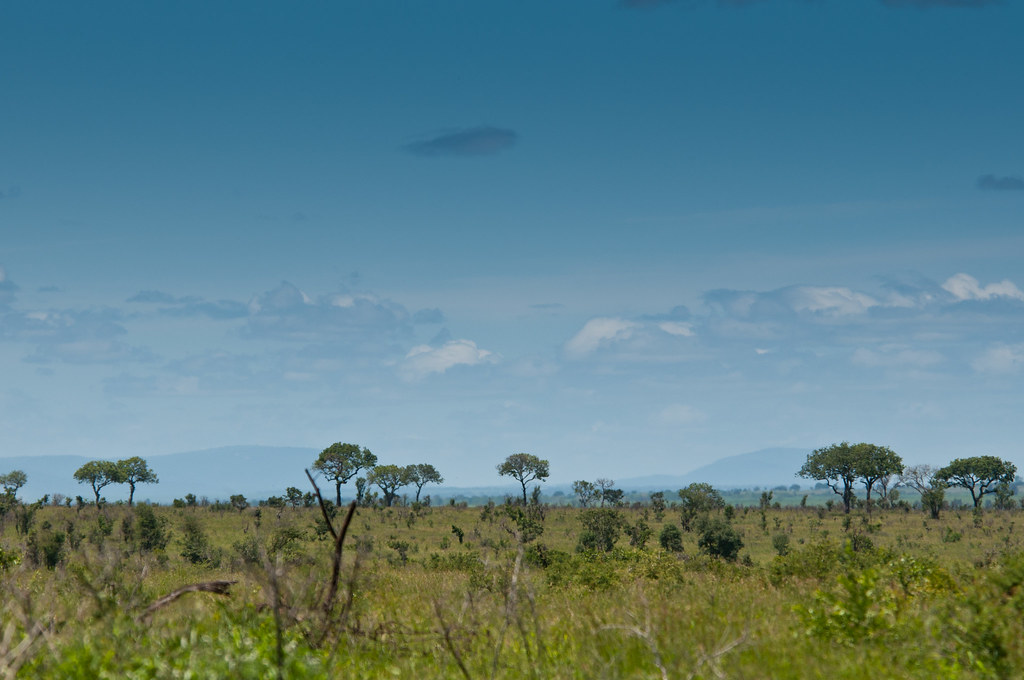 Africa