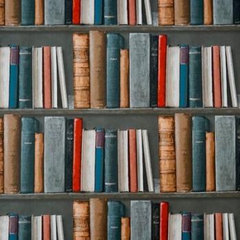 Amazing New Books