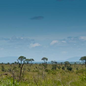 We went to Africa