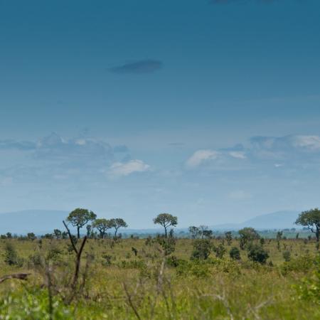 Africa