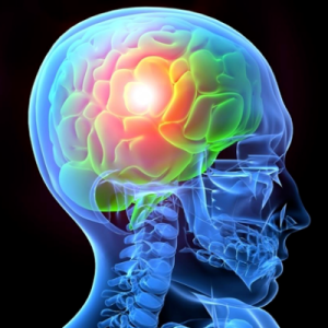 Rutgers University Center for Cognitive Science (RUCCS)