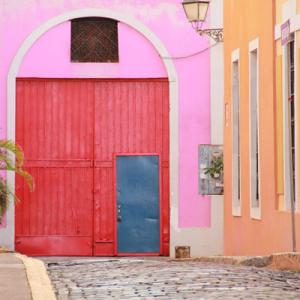 Rutgers Advanced Institute for Critical Caribbean Studies (RAICCS)