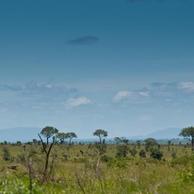Africa